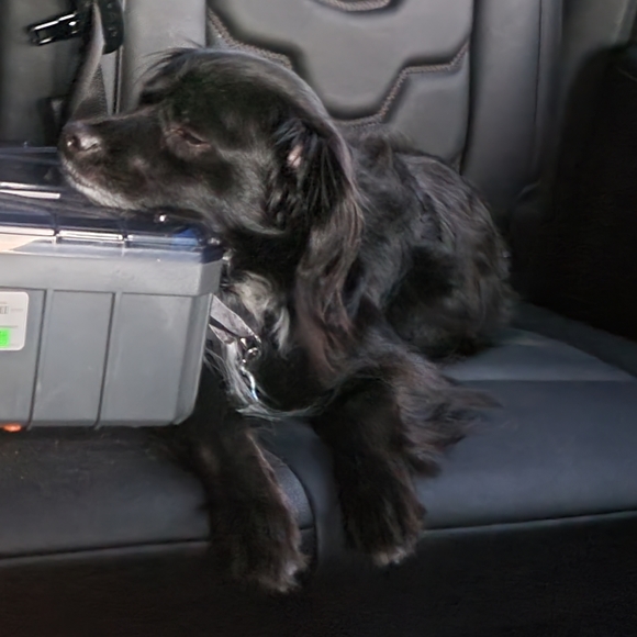 Meet LT Toby - Picture 8 of 13